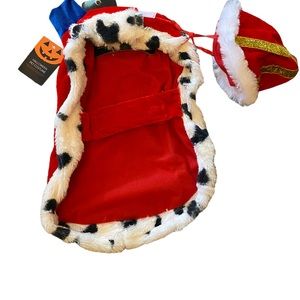 Pet Halloween costume